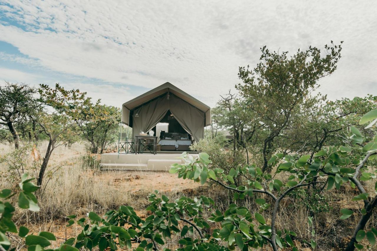 Mopane Bush Lodge Linton Dış mekan fotoğraf